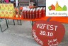 Vizfest_2024